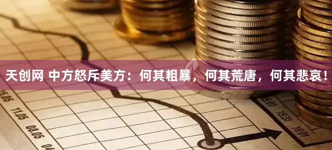 天创网 中方怒斥美方：何其粗暴，何其荒唐，何其悲哀！