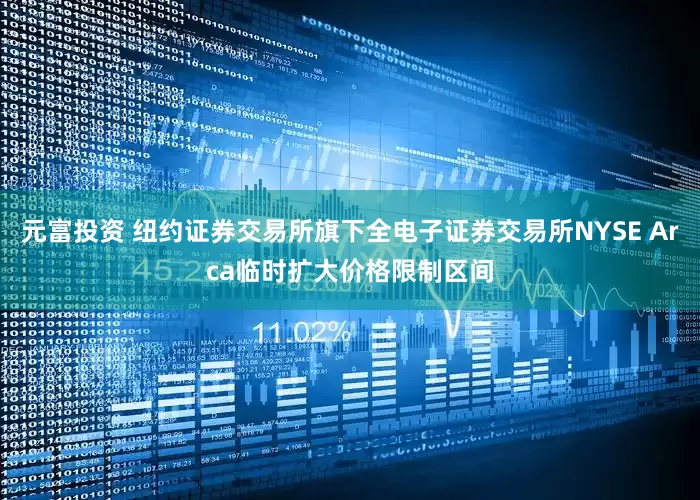 元富投资 纽约证券交易所旗下全电子证券交易所NYSE Arca临时扩大价格限制区间