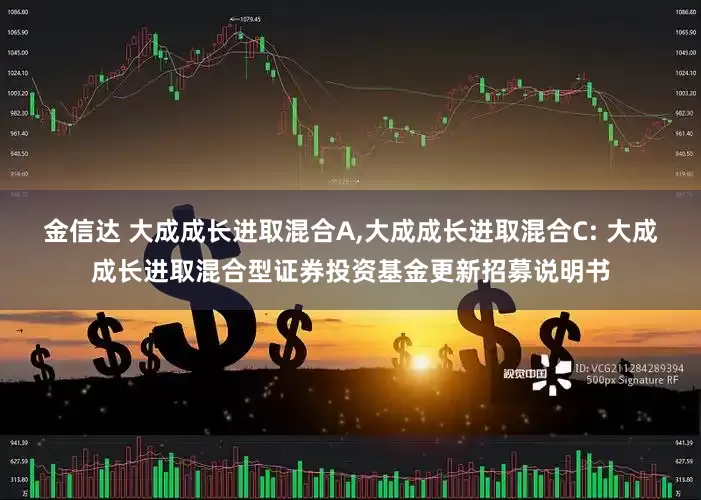 金信达 大成成长进取混合A,大成成长进取混合C: 大成成长进取混合型证券投资基金更新招募说明书